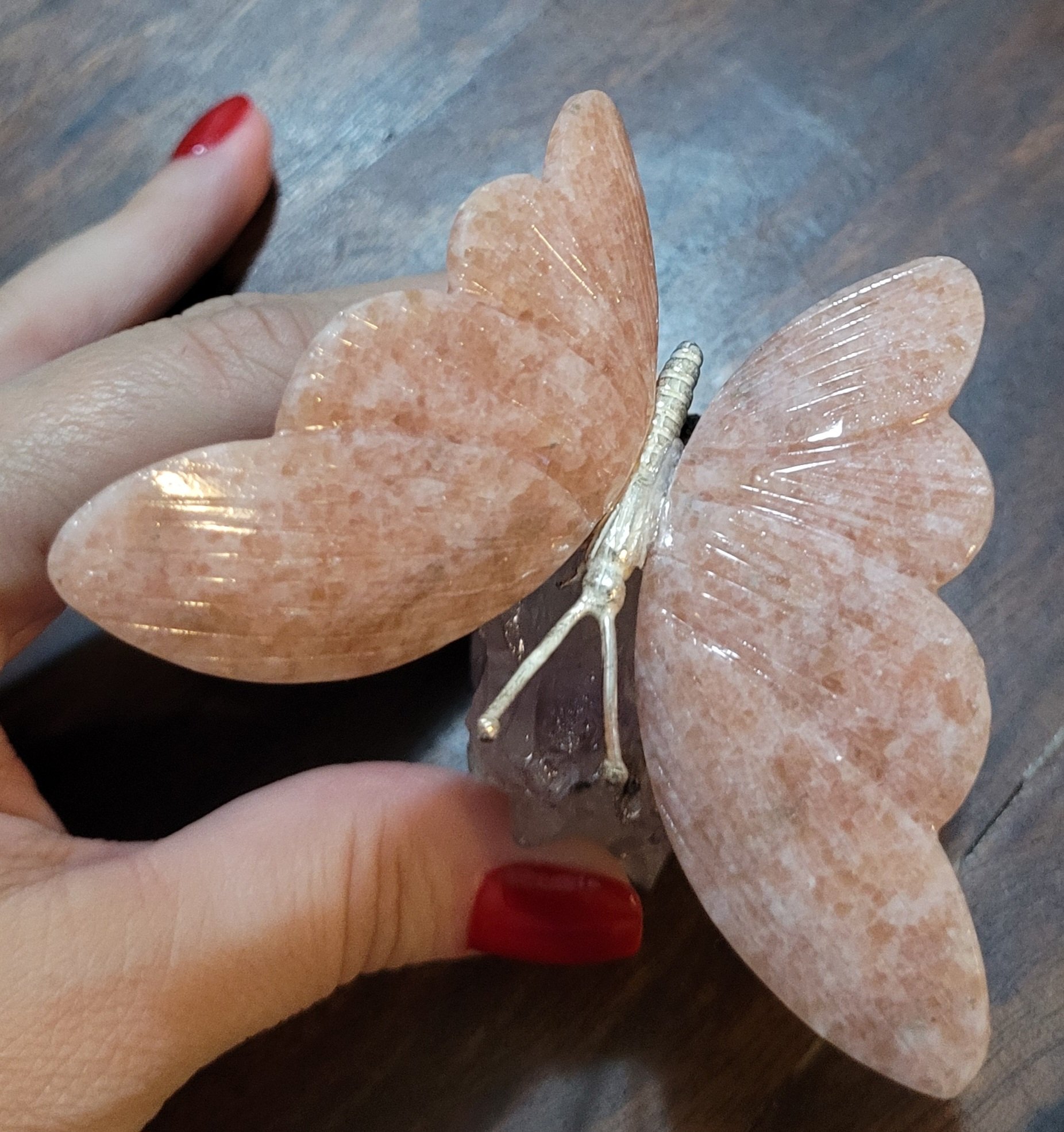 BORBOLETA NA BASE ROSA